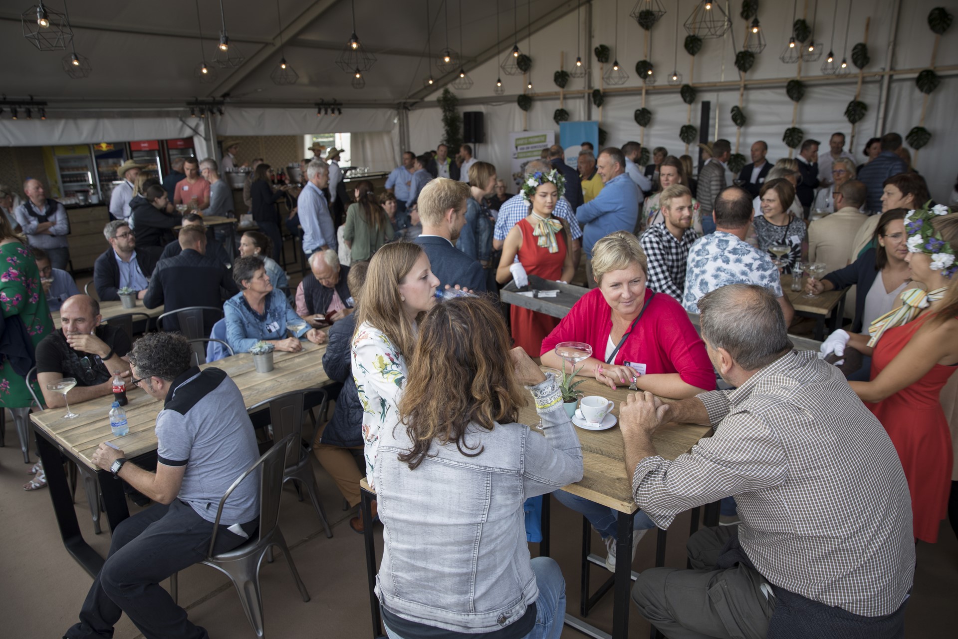 pukkelpop horeca en toerisme limburg_LD_856.JPG