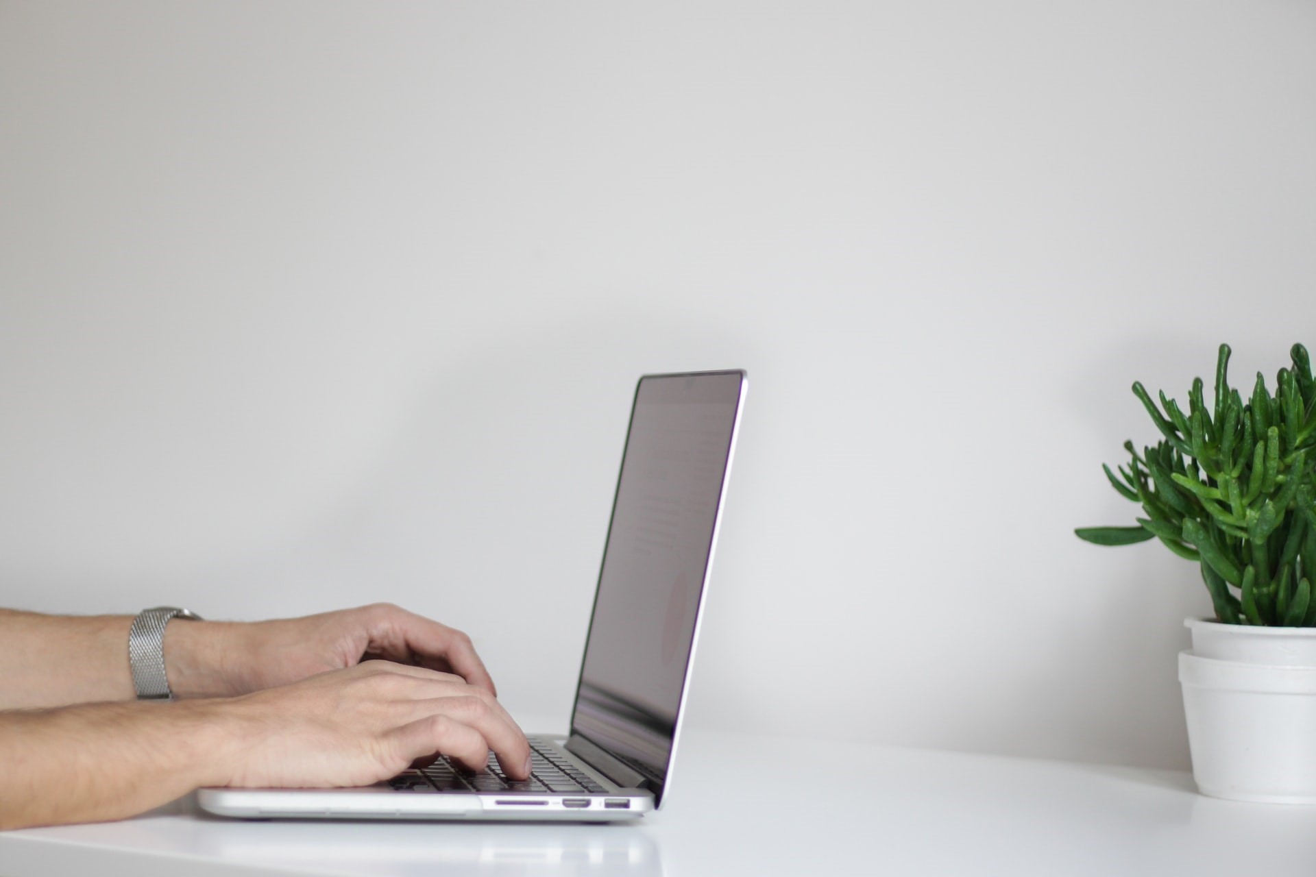 Laptop plant